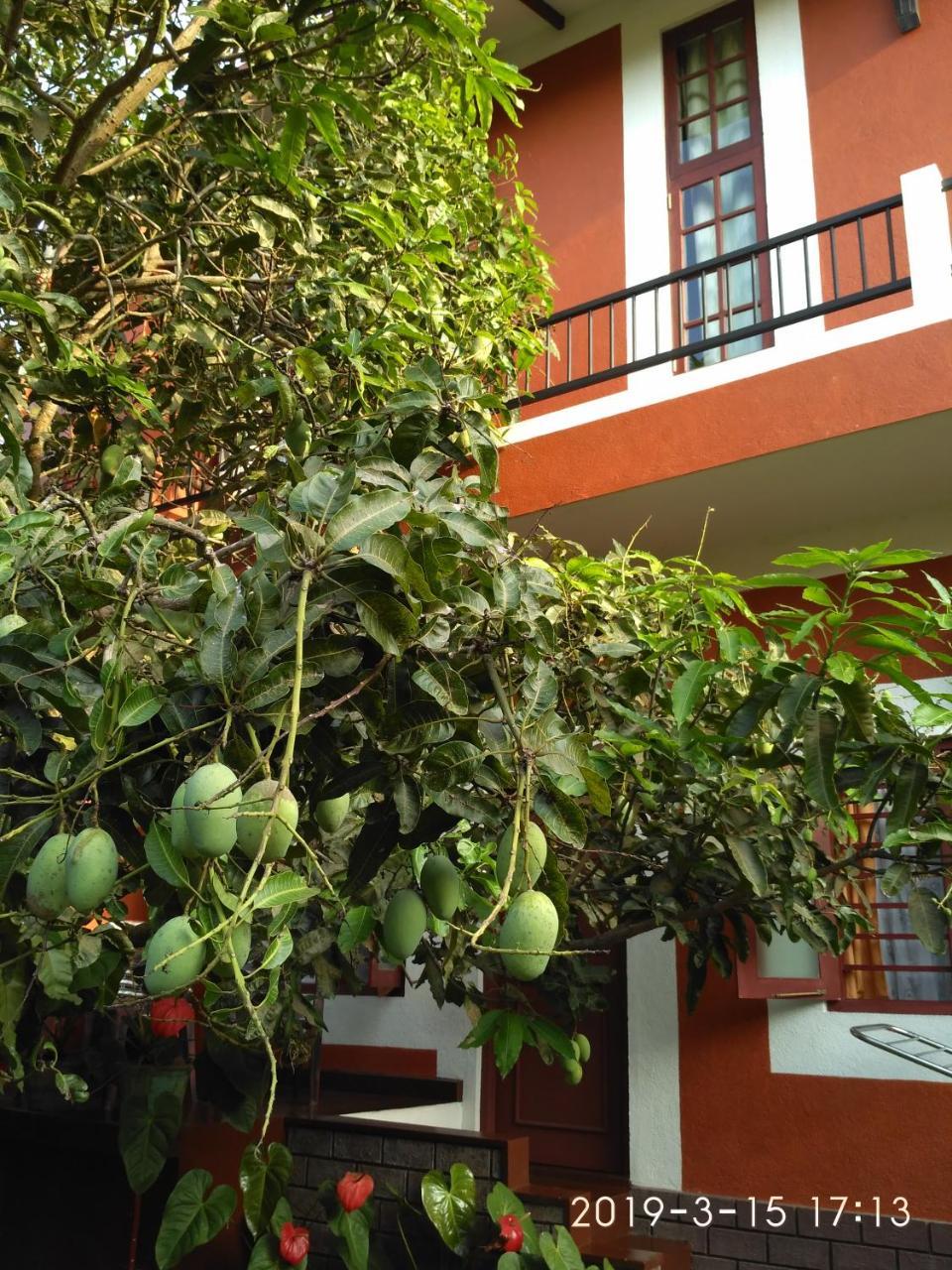 Nilas Guesthouse Хикадува Екстериор снимка